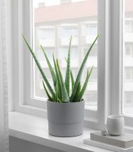 Mica Douro Pot - تصویر 4